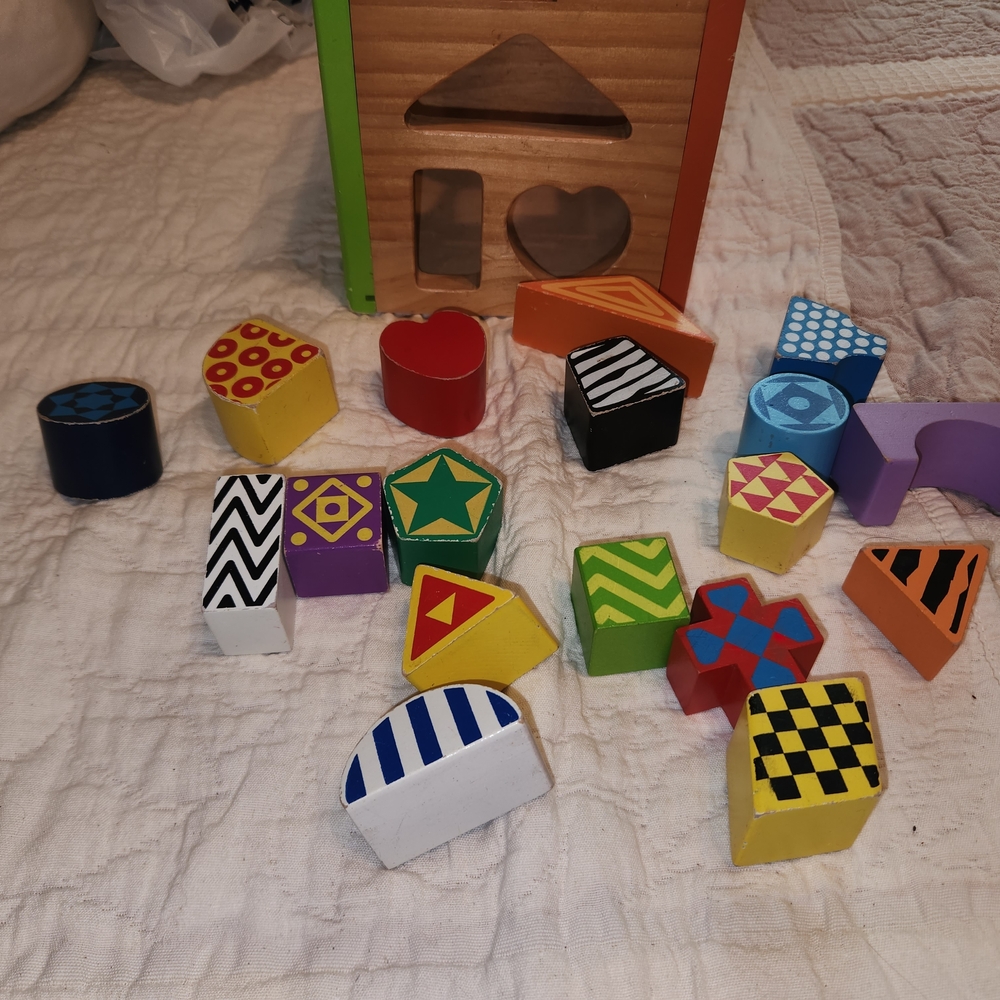 Vibrant Wooden Shape Sorting House